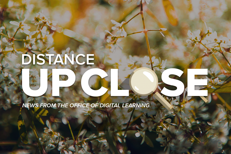 Distance Up Close Logo with floral background