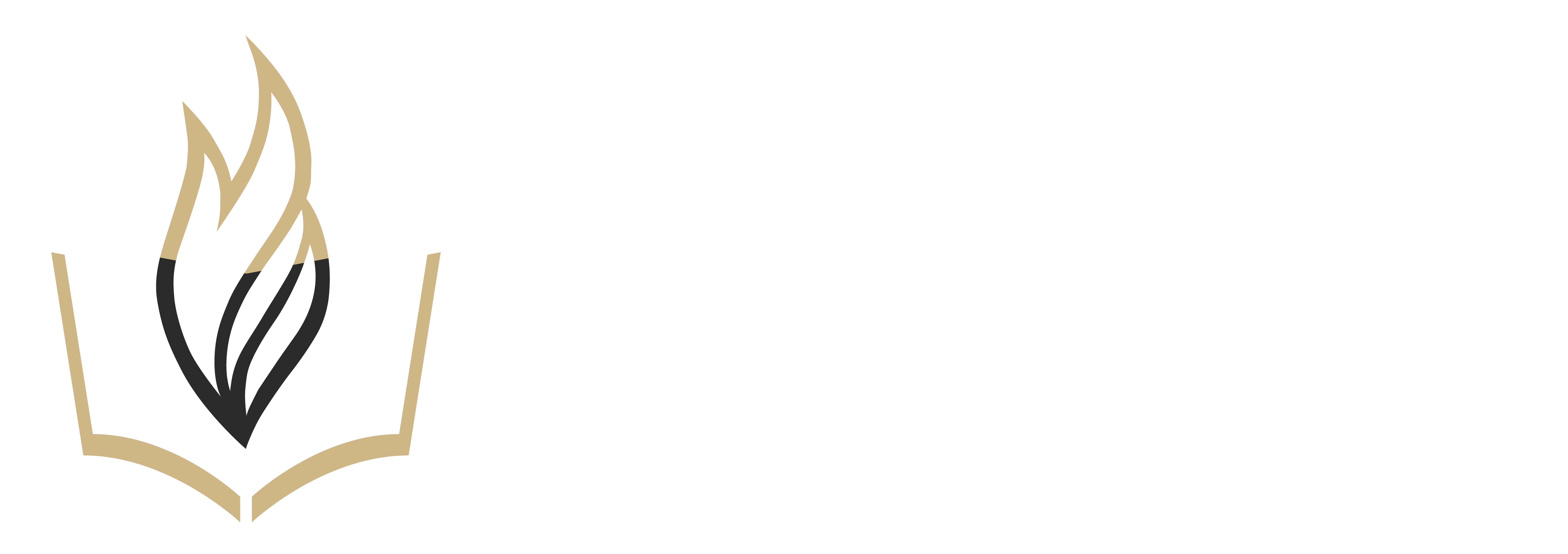 FSU Learn Logo